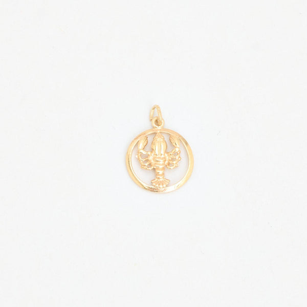 Kräfta Hänge i 14K guld, 2 cm, 1.6 g