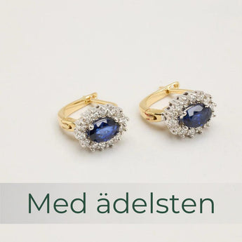 Örhängen med ädelsten