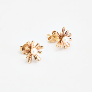 Anothers Legacy 2